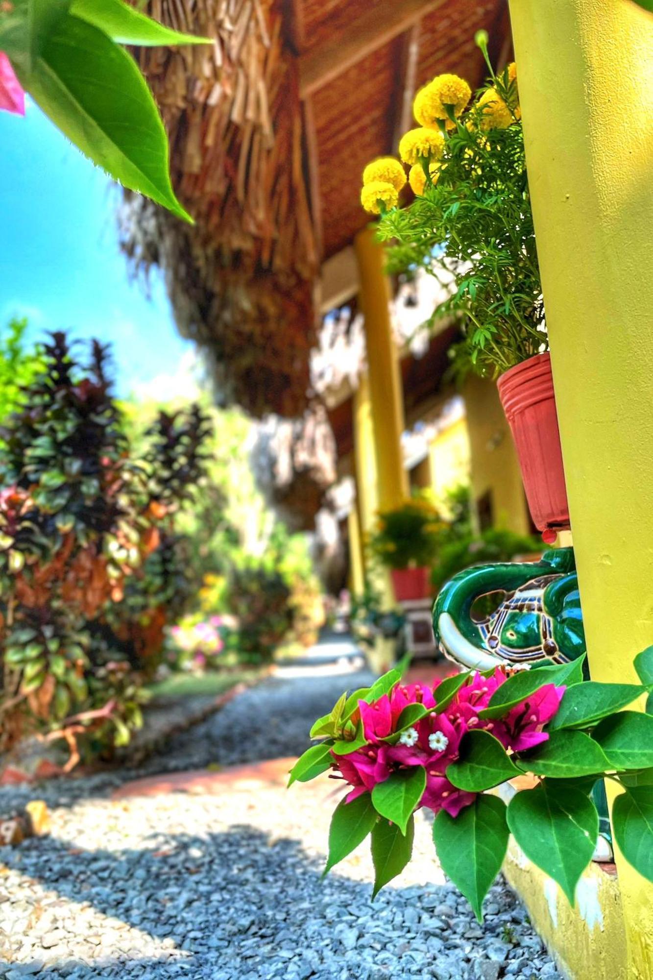Mango Home Riverside Ben Tre Dış mekan fotoğraf